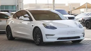 Tesla Model 3 Performance 2021 for Sale
