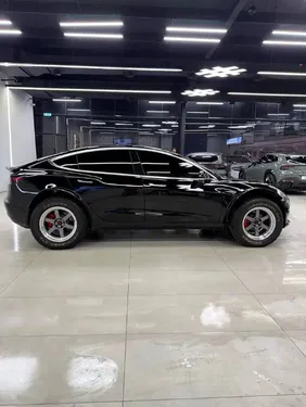 Tesla Model 3 Performance 2020 for Sale
