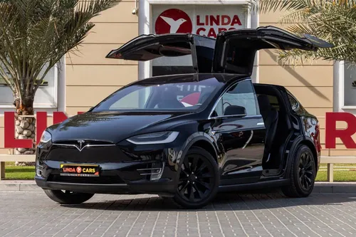 Tesla Model X 100D 2017