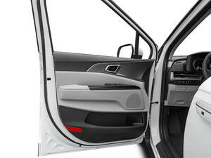 كيا كارنفال الداخلية 