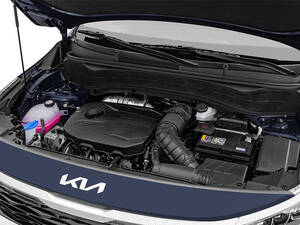 كيا سيلتوس الخارجية 