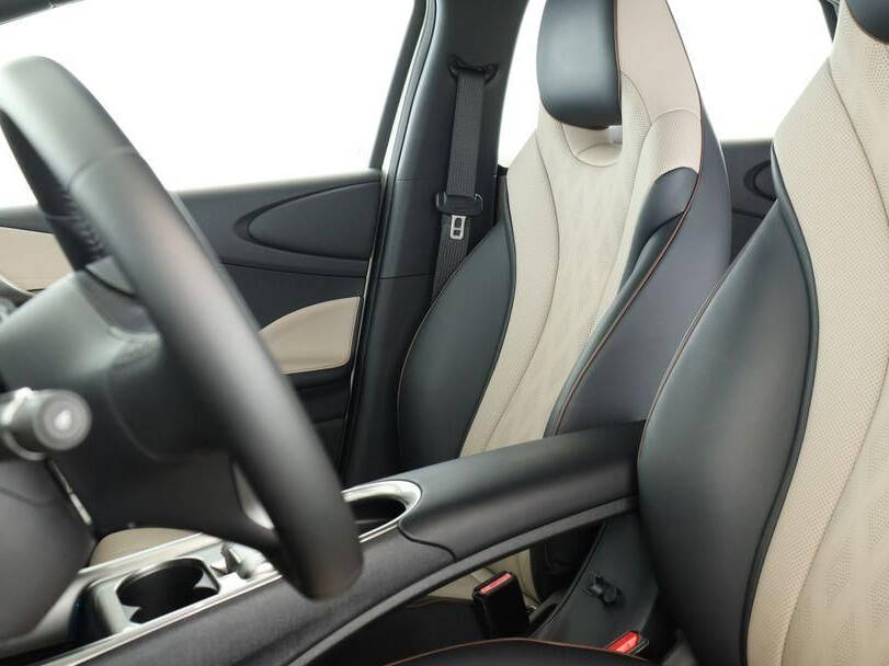 بي واي دي دولفين إي في 2025 الداخلية 