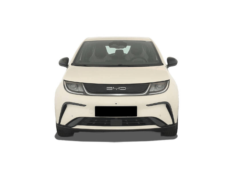 بي واي دي دولفين إي في 2025 الخارجية 