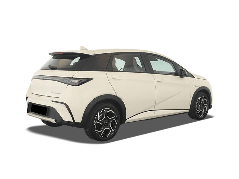 بي واي دي دولفين إي في 2025 الخارجية 