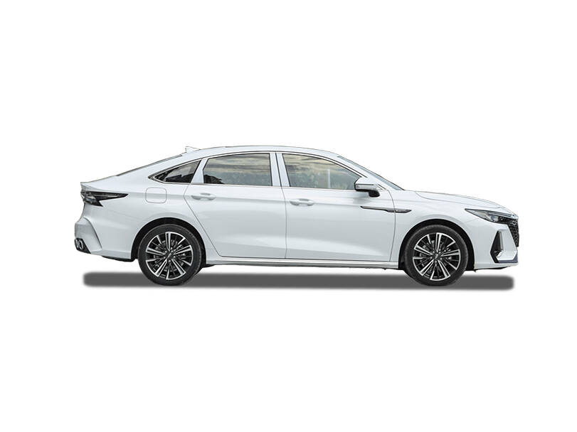 شيري أريزو 8 2026 الخارجية 