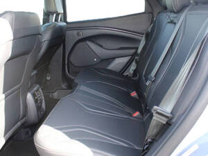 Ford Mustang Mach E Interior 