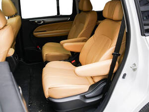 جي إيه سي GN6 الداخلية 