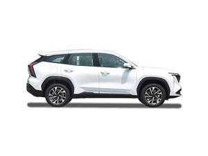 Geely Starray Exterior 