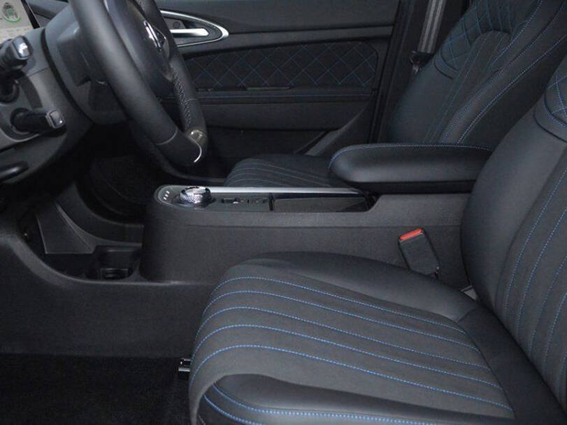 ORA Good Cat Interior 