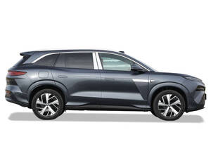 بي واي دي Tang L الخارجية 