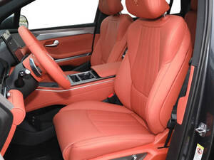 بي واي دي Tang L الداخلية 