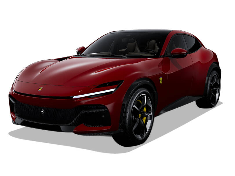 Persian Plum_#752125