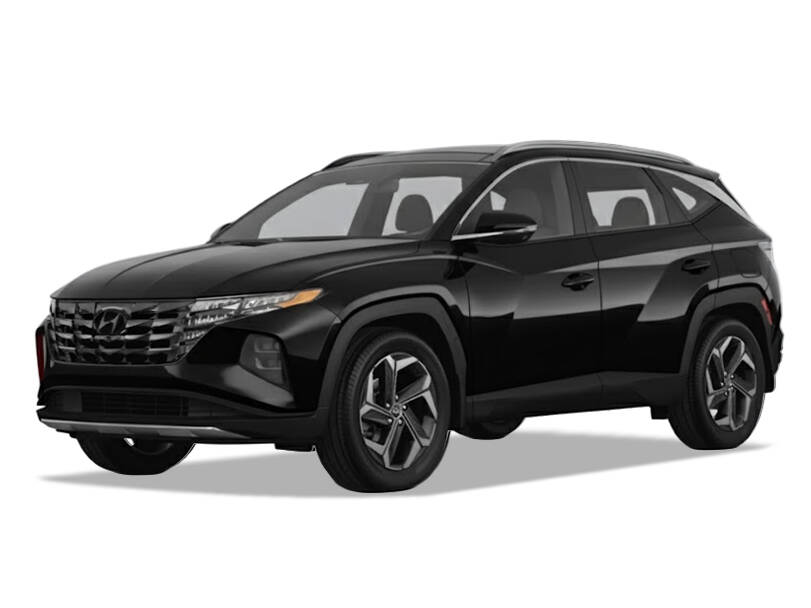 Phantom Black_#141613