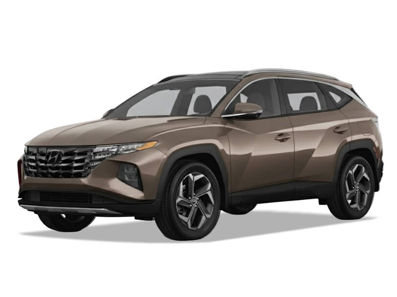 Silky Bronze_#5c5249