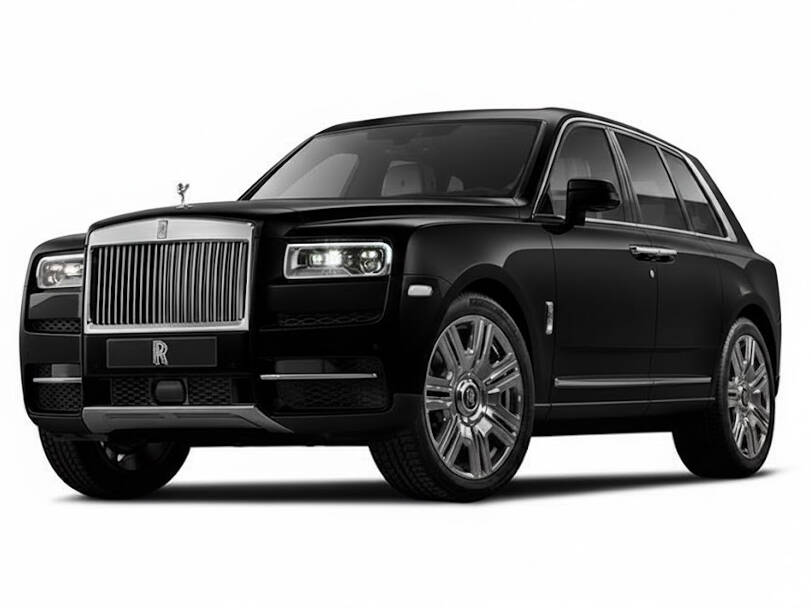 Diamond Black_#1B150E