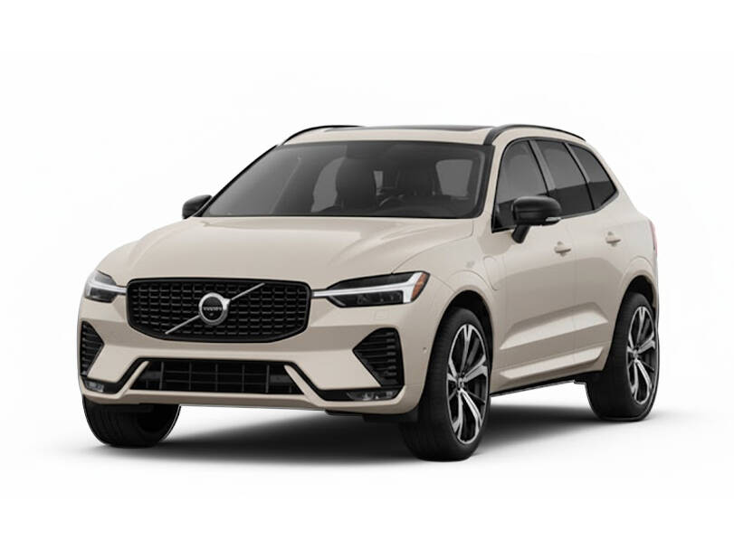 Aurora Silver_#acaaae